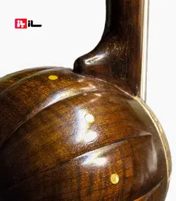 کمانچه بیاض امیرعطایی 12 ترک