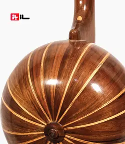 کمانچه جاوید مقدم - الگو قدیم