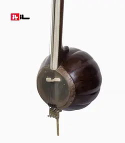 کمانچه شکوفه فیاضی 12 ترک الگوی امیرعطایی