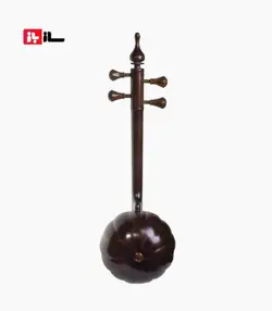کمانچه شکوفه فیاضی 12 ترک الگوی امیرعطایی