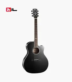 گیتار CORT GA5F