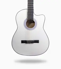 گیتار آراکس جی1