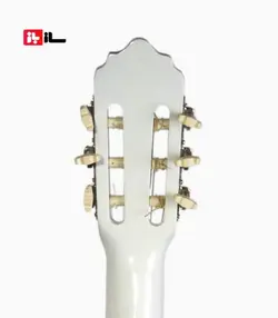 گیتار آراکس جی1