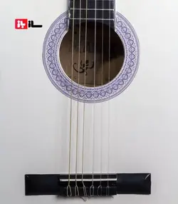 گیتار آراکس جی1