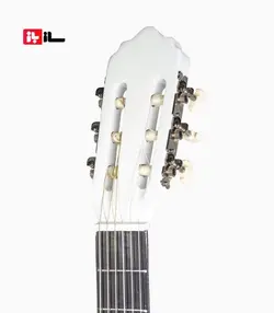 گیتار آراکس جی1