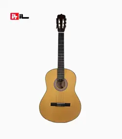 گیتار آراکس جی2