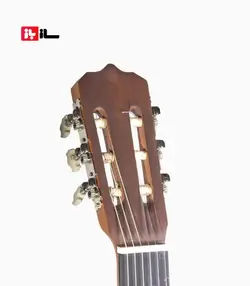 گیتار آراکس جی2