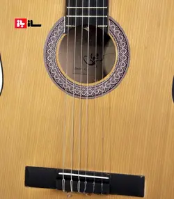 گیتار آراکس جی2