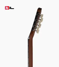 گیتار آراکس جی2