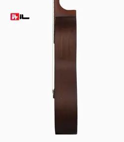 گیتار آراکس جی2