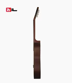 گیتار آراکس جی2