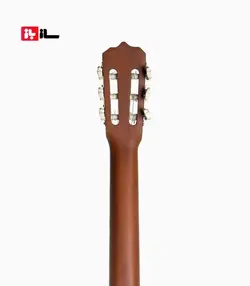 گیتار آراکس جی2