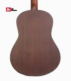 گیتار آراکس جی2