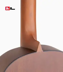 گیتار آراکس جی2