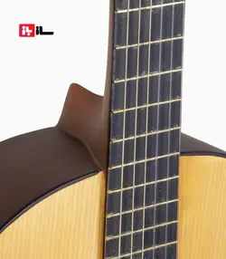 گیتار آراکس جی2