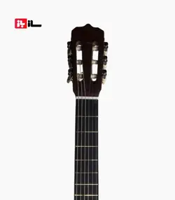 گیتار آراکس جی2