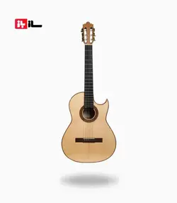 گیتار رامین فلاح Maple