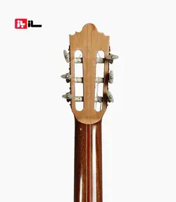 گیتار رامین فلاح Maple