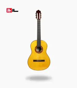 گیتار رامین فلاح red bresilian rose wood