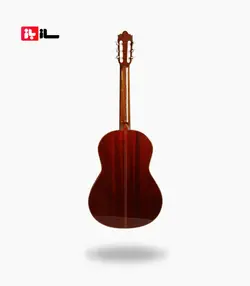 گیتار رامین فلاح red bresilian rose wood