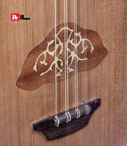 لاوتا رحیم‌لو