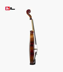 ویولن آراکس 144