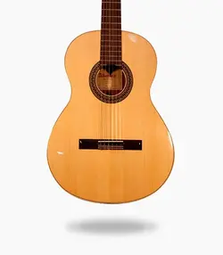 گیتار Alhambra 2CA
