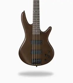 گیتار بیس پنج سیم Ibanez GSR205 GIO