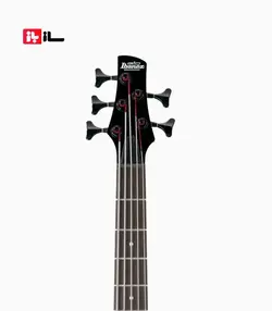 گیتار بیس پنج سیم Ibanez GSR205 GIO