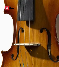 ویولن نوروزی آلیس