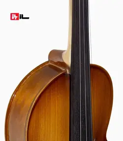 ویولن نوروزی آلیس