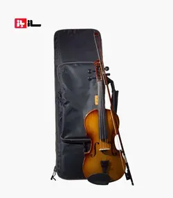 ویولن نوروزی آلیس