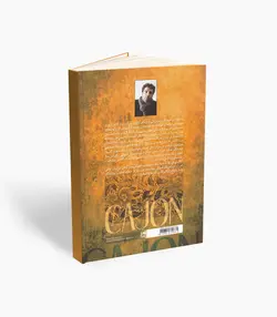 کتاب شیوه نوازندگی کاخن جلد دو