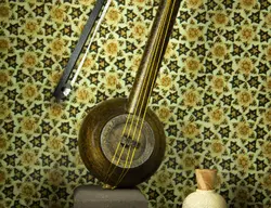 ساز در قاب کمانچه