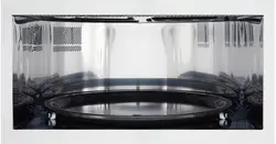 مایکرو فر سولاردام پرشیا پلاس ال جی مدل MS98TCR