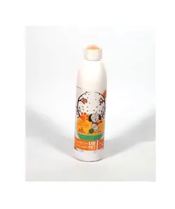 شامپو یو اس پت مخصوص توله سگ رایحه اسطخدوس-باران پاییزی