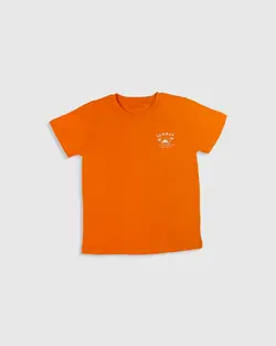 تیشرت پسرانه (7 تا 13 سال) summer