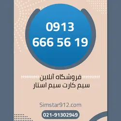سیم کارت 09136665619