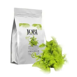 ماسک هیدروژلی جلبک جوبی 250 گرم