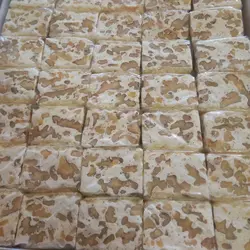 نوقا گردویی