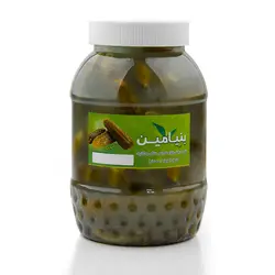 خواص ، قیمت و خرید خیارشور خانگی بنیامین مقدار 1 کیلوگرم - سوغات رسان