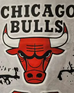تیشرت لش شیکاگو بولز کد 215