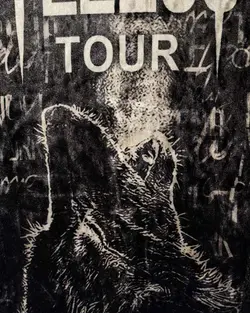 تیشرت مخمل گرگ کد 217