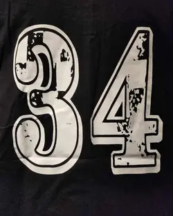 تیشرت شیکاگو بولز پشت چاپ کد 244