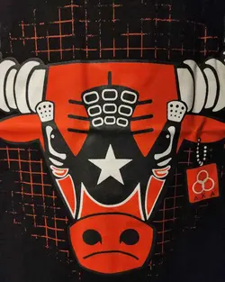 تیشرت شیکاگو بولز پشت چاپ کد 244