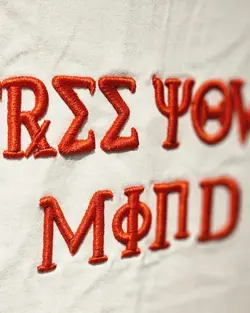 تیشرت انیمه گلدوزی کد 387