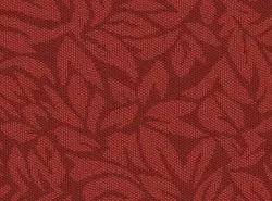 سایه - تزئینات تهرانسر