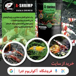 غذای میگو آب شیرین مدل Green Food