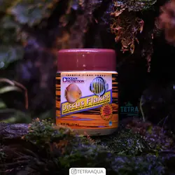 غذای پولکی دیسکس اوشن نوتریشن فلیکس Discus Flakes 34g