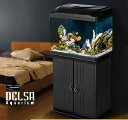 آکواریوم شرکتی دلسا Delsa K580